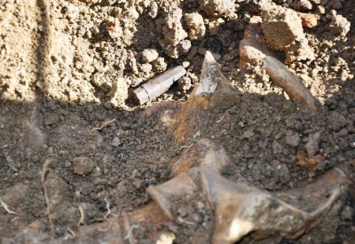 Установлено имя еще одного защитника Крыма, погибшего в 1943 г.