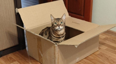 На пожаре в поселке Молодежное под Симферополем спасли 22 человека и кота