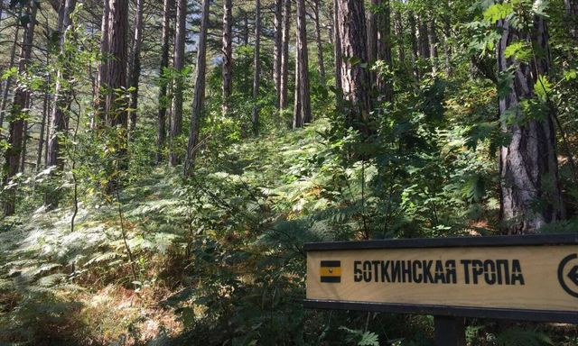 Спасатели вывели двух подростков из ущелья Яузлар