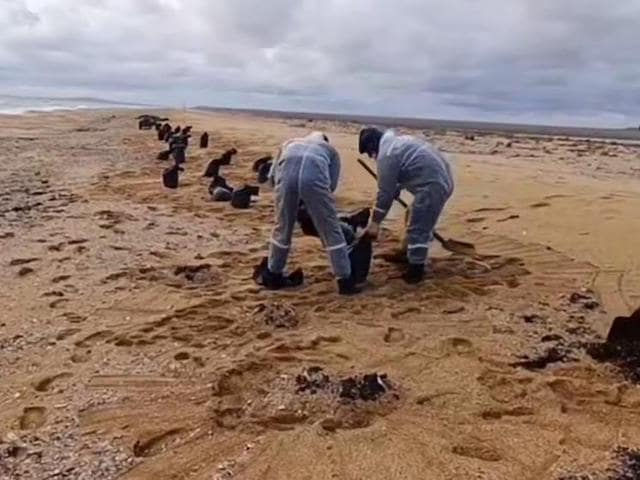 Украинские специалисты указали на неэффективность работ по очистке моря от мазута