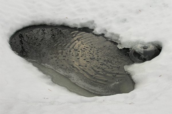 Под Симферополем замерзло водохранилище