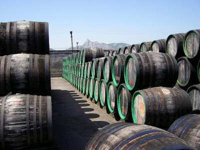 Предприятия виноделия в Крыму «не вписываются» в российское законодательство