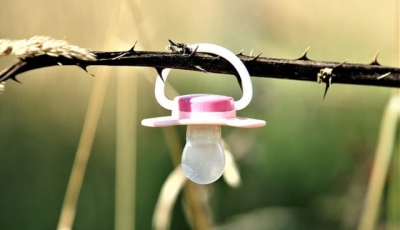 Власти Крыма озаботились падением рождаемости