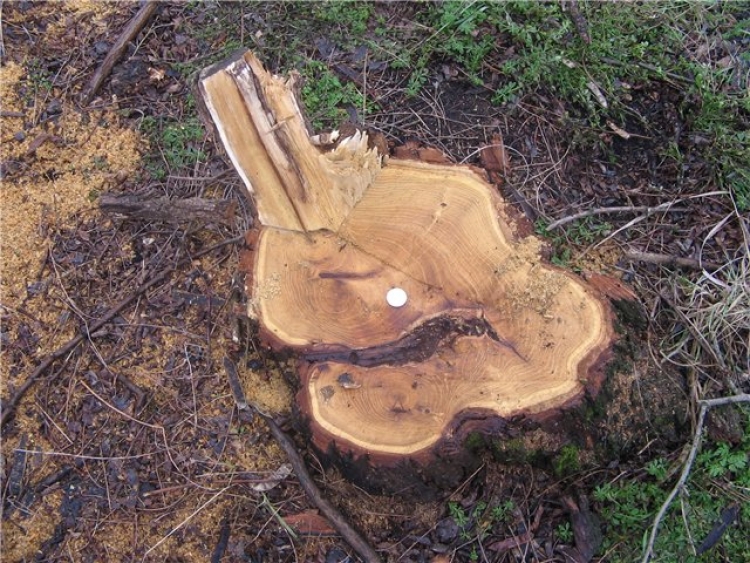 Еще в одном российском рейтинге Крым изменил позиции