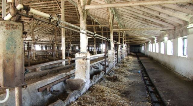 Молочной фермы на заводе им. Фрунзе уже нет – люди уволены, коровы проданы
