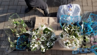 Не торгуйте первоцветами – может наступить уголовная ответственность