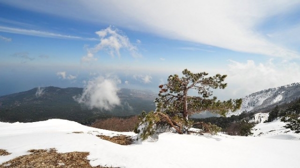 На территории Крыма выпал первый снег