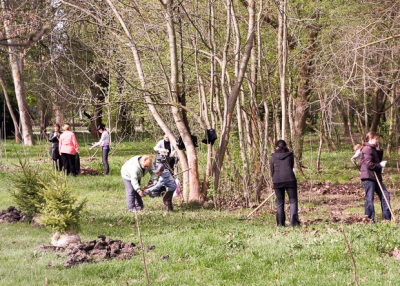 В городах Крыма проходят субботники и высаживают деревья