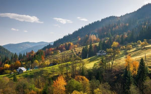 Осінній відпочинок у Карпатах — сезон тиші, тепла і гірської естетики