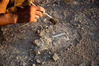 В Крыму археологи нашли могилу сарматской женщины