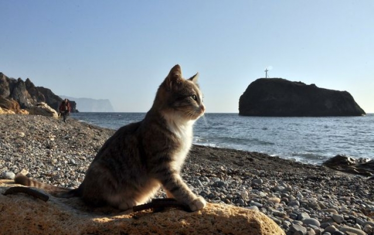 Новый год в Крыму - наплыва туристов ожидать не стоит