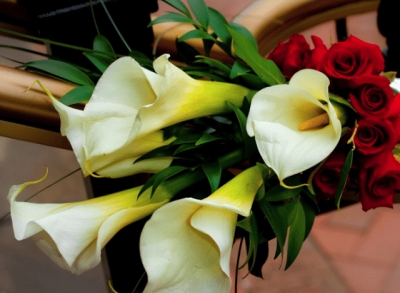 Какие цветы дарят мужчинам на День рождения: обзор, советы