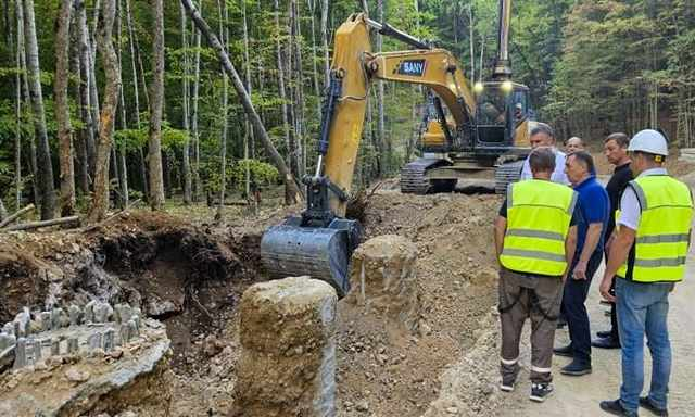 В Крыму массово вырубают деревья – строят новую автомобильную трассу