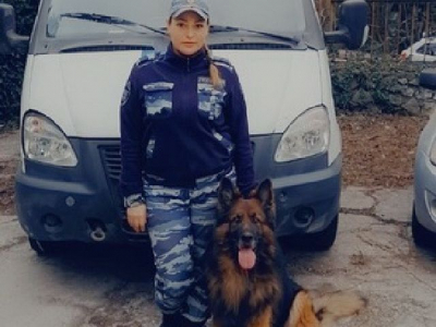 Спал в подвале – в Ялте с помощью служебной собаки обнаружили пропавшего мальчика