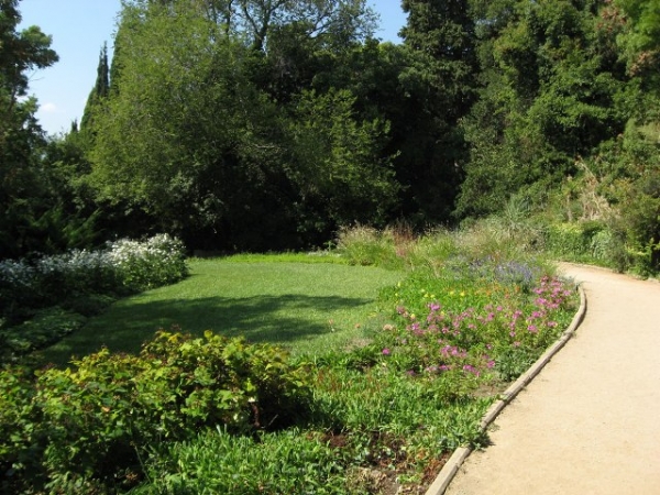 Ялта озеленилась