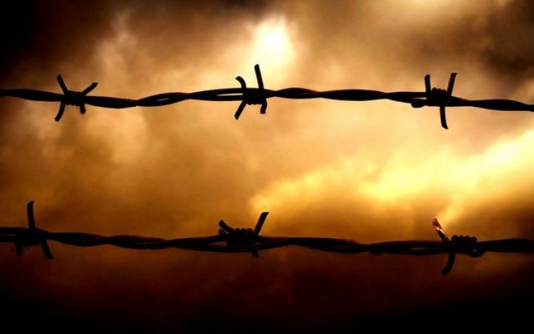 Задержаны реализаторы синтетического наркозелья