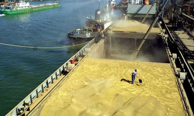 Крым будет поставлять в Сирию пшеницу – при условии ее хорошего качества