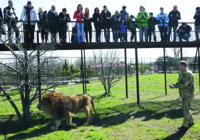 Оккупантов Крыма мнение Украины волнует также, как и львы в сафари-парке
