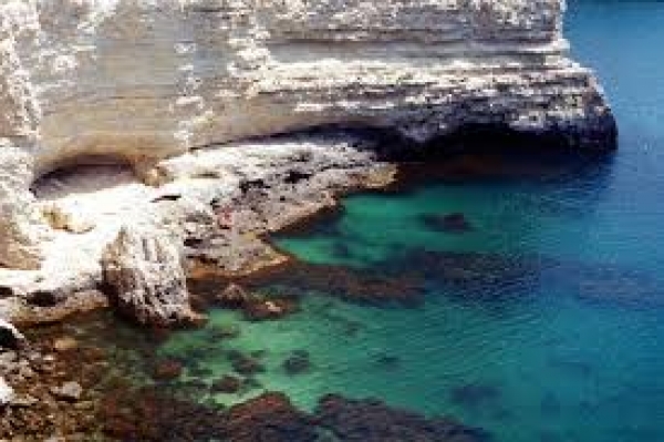 На Тарханкуте пройдет праздник леса