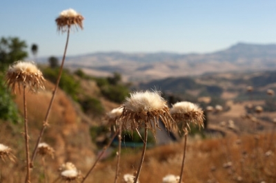 Москва готовит жителей Крыма к незавидной жизни на полуострове
