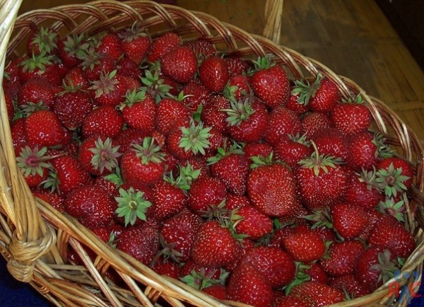 Россияне съели крымские яблоки, подняв на них цену