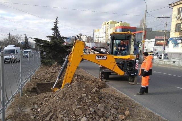 В столице Крыма идет компенсационная высадка деревьев