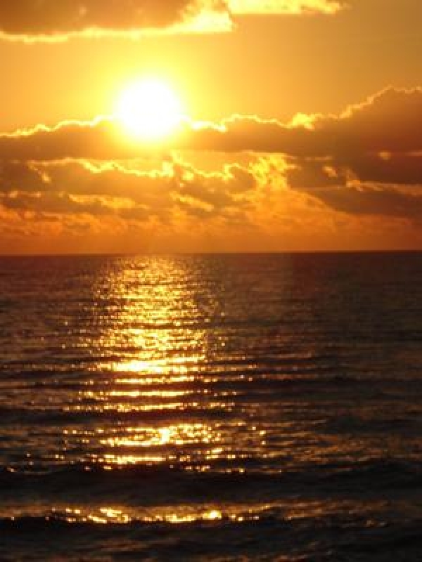 На ЮБК морская вода становится горячей