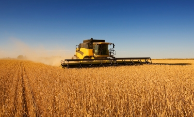 Сергей Аксенов хочет собирать в Крыму три миллиона тонн зерна ежегодно