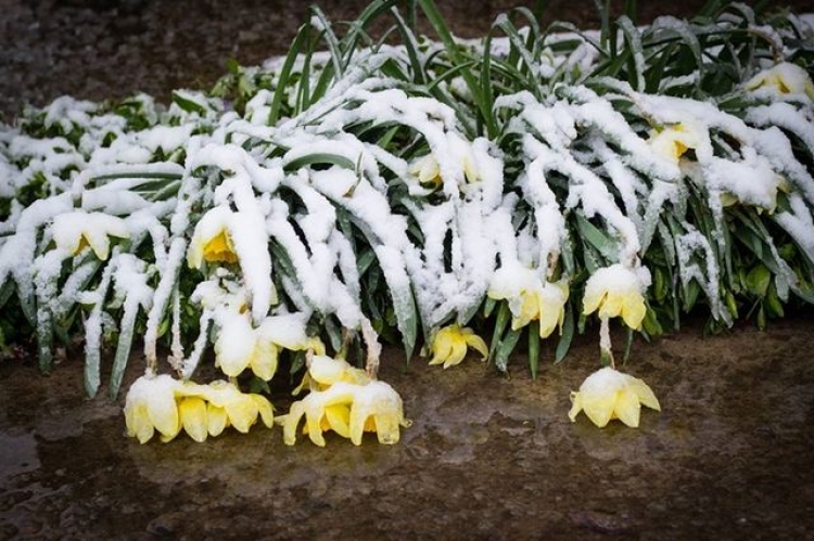 О дождях с грозами и сильном ветре предупредили метеорологи Крыма (видео)