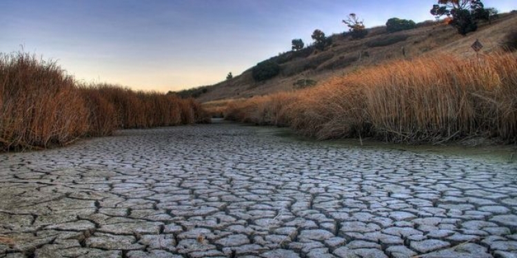 Северный Крым на грани экологической катастрофы