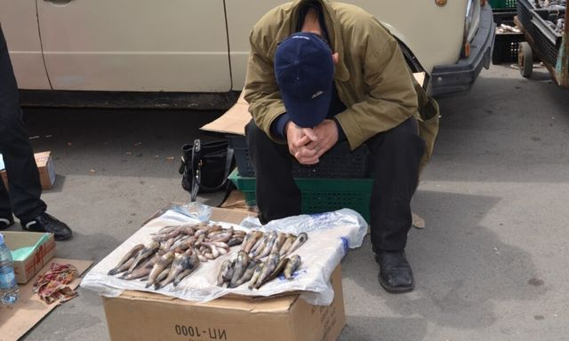 20 рыболовецких компаний Крыма терпят убытки из-за запретов минобороны РФ