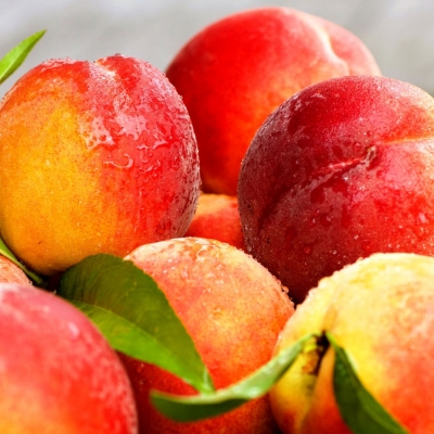 Путин напомнил, что в Крым не должны попадать запрещенные продукты, как и наркотики