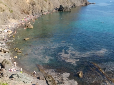 Море у м. Фиолент покрылось пленкой с нечистотами