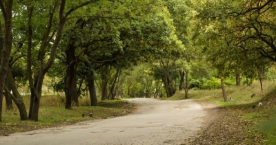 Общественность Севастополя возмущена стройкой в Ушаковой балке