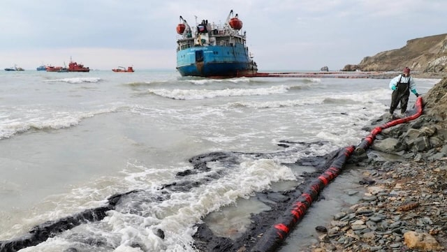 Мазут в Керченском проливе уничтожил биоресурсов на 2,5 млрд рублей