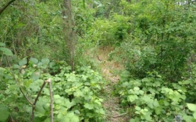 На окраине Севастополя в колодце нашли пожилую женщину