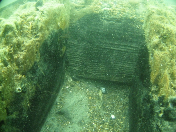 В России уже хотят осушить Керченский пролив 