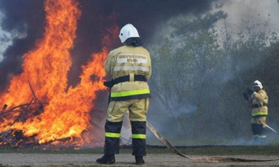 В поселке Лазурном сгорело несколько гектаров заповедной территории