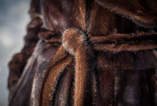 Домработница украла норковую шубу и кольцо с бриллантом