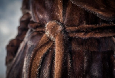 Домработница украла норковую шубу и кольцо с бриллантом