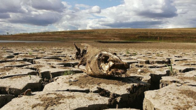 В Крыму происходит разбалансировка климата – эколог Андрей Артов