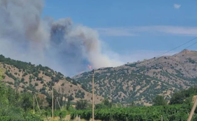 Под Судаком на площади 15 гектаров бушевал пожар