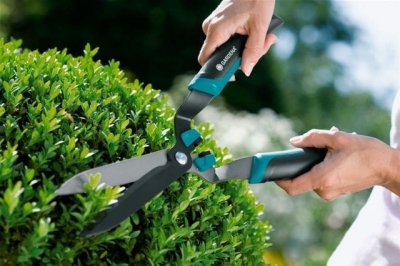 Сотрудники ФСБ обнаружили в Алуштинском районе гастарбайтеров