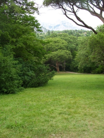 Платные леса в Крыму