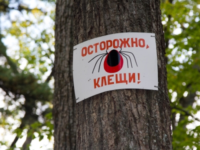 Летние пешие туры в Крыму под угрозой срыва