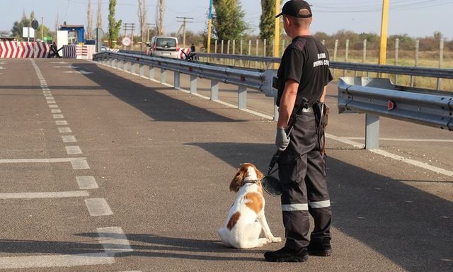 Рост заболеваемости коронавирусом в Крыму заставил перевести КПВВ на особый режим