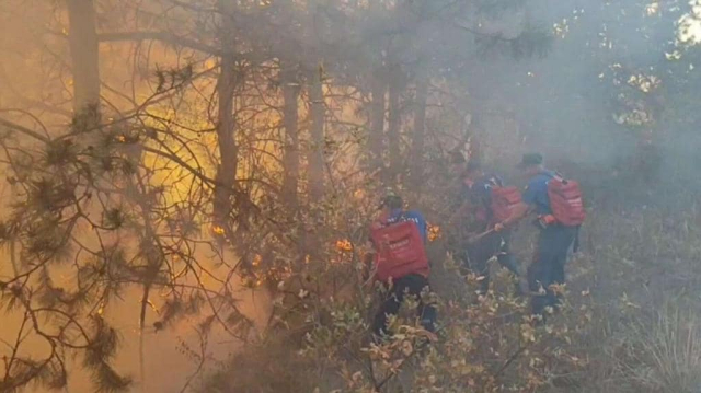 Под Симферополем произошел еще один пожар на открытой местности