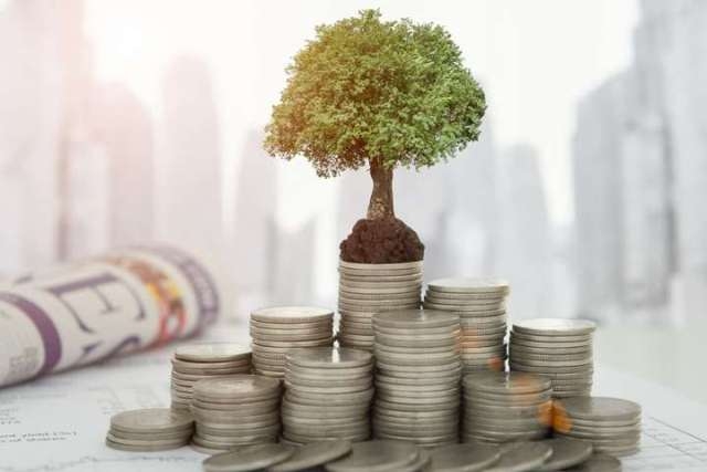 Teachmecash и другие способы инвестиций