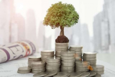 Teachmecash и другие способы инвестиций