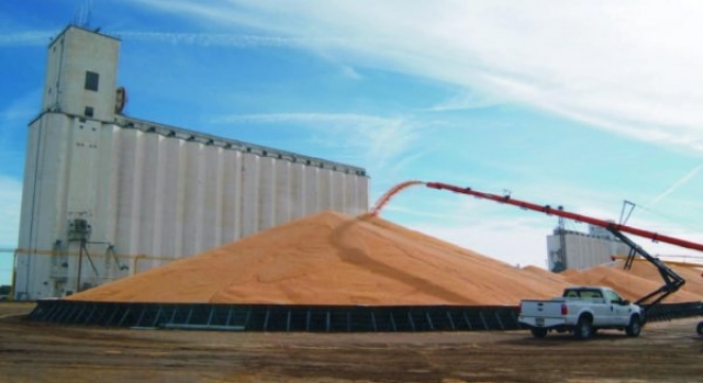 Власти Крыма просят Россию разрешить им больше не экспортировать экспорт зерна